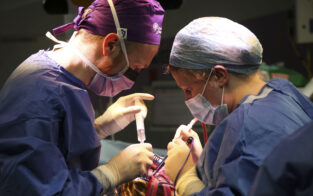 Surgeons David Coope and Helen Maye